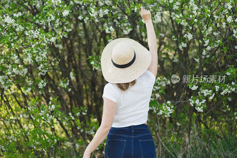 年轻美丽的女人，戴着帽子，在花树中。春季自然公园或园林，树木开花。后视图。