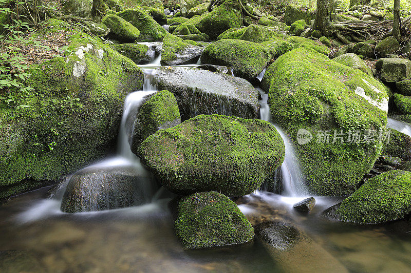 长满青苔的山谷