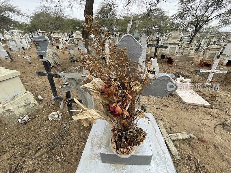 墓地里的枯花