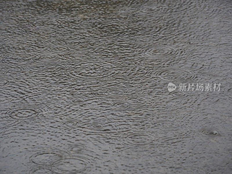 雨湖