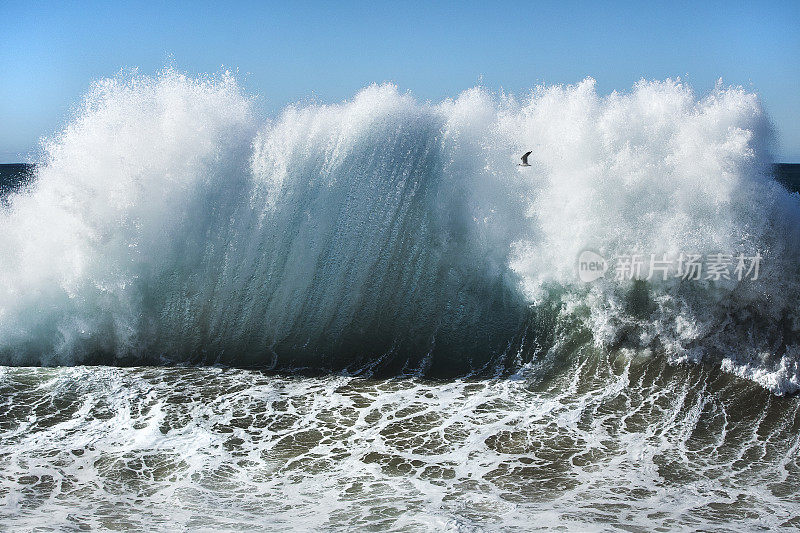 大海浪爆炸到空中的特写
