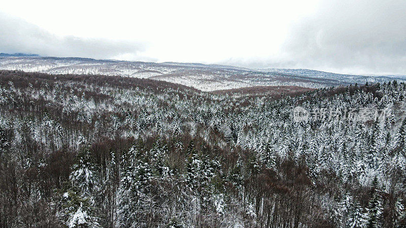 冬季山地、雪山松林、冻林、雪山景观鸟瞰图、雪山山顶、雪松