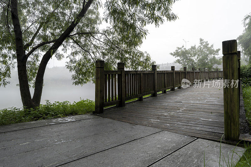 雨后，城市公园的木板路在晨雾中