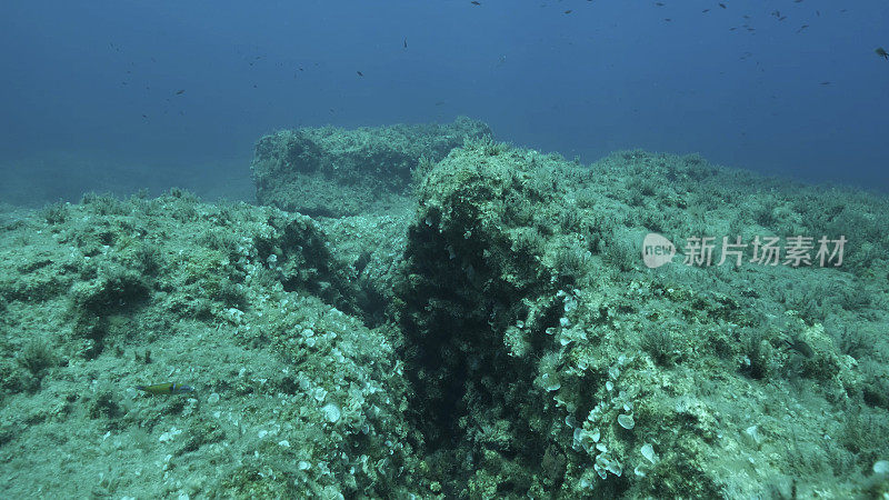 一群鱼在构造板块上方的海床裂缝上游动。海底板块的提坦式位移。地中海水下海景。地中海