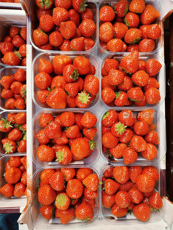 新鲜的有机甜草莓水果在杂货店出售在苏格兰英格兰英国格拉斯哥