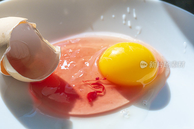 鸡蛋上的铜绿假单胞菌-不可食用鸡蛋