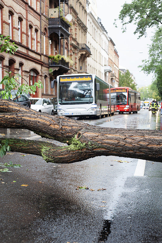 一场大雷雨过后，一棵树挡住了街道。