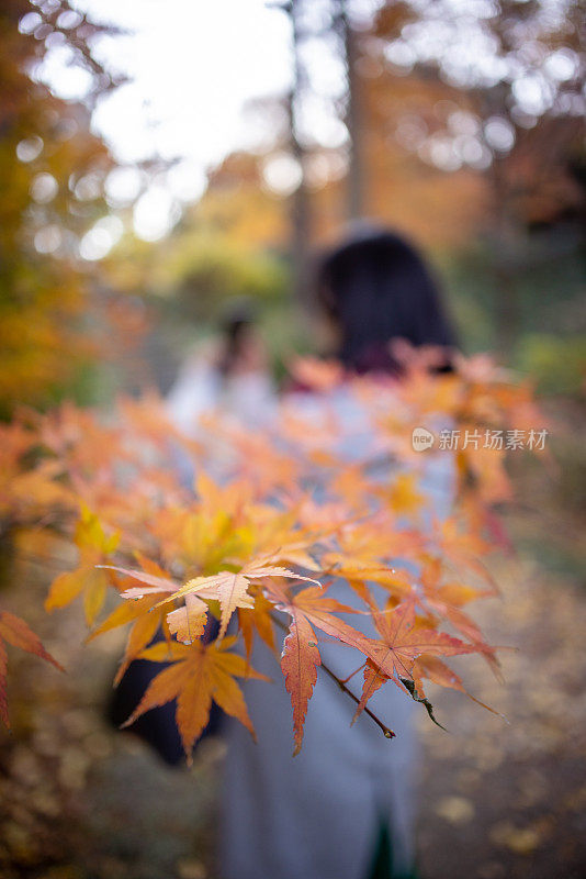 女子正在拍摄秋天的树叶