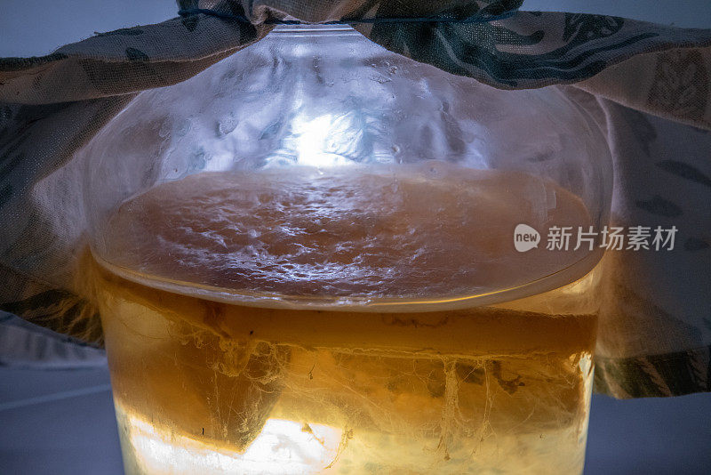 自制发酵康普茶在玻璃罐中