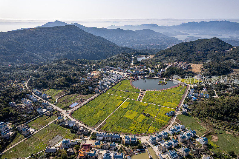 乡村人工湖边油菜花田鸟瞰图