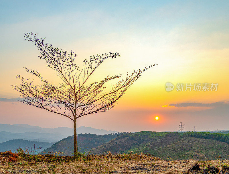 越南中部高地山上的日落景观