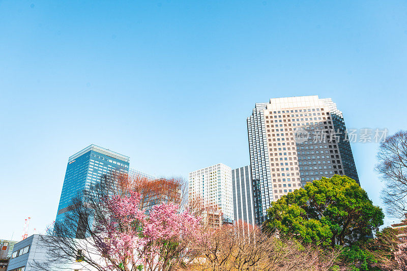 可持续的绿色建筑。东京市的环保建筑