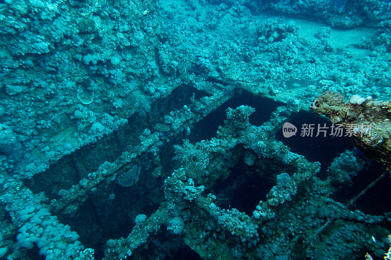 沙特阿拉伯延布红海的沉船