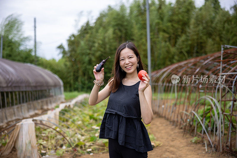 农场里拿着茄子和西红柿的妇女画像