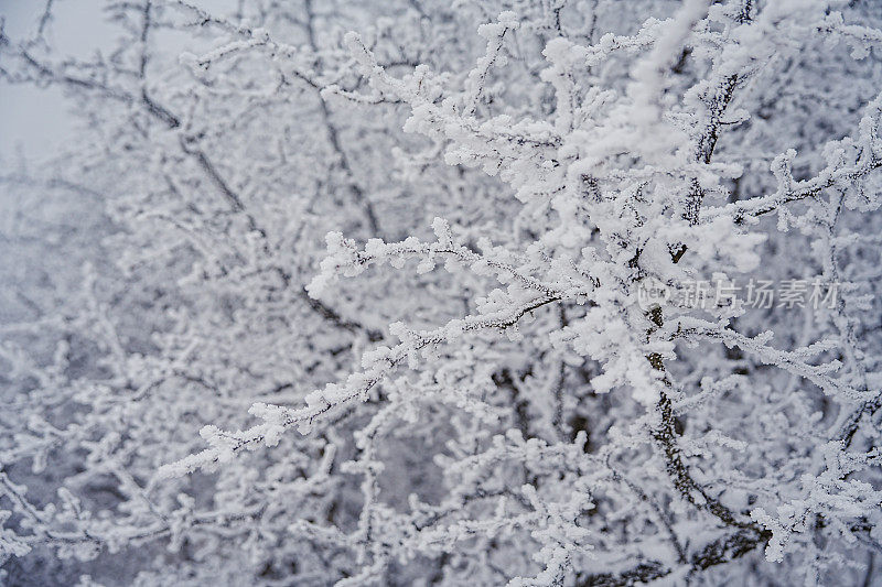 山上的硬霜(雪晶)