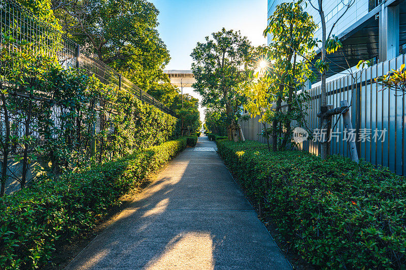 公园里空荡荡的人行道