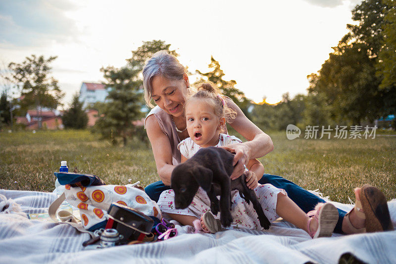 奶奶和孙女喜欢和小狗在一起