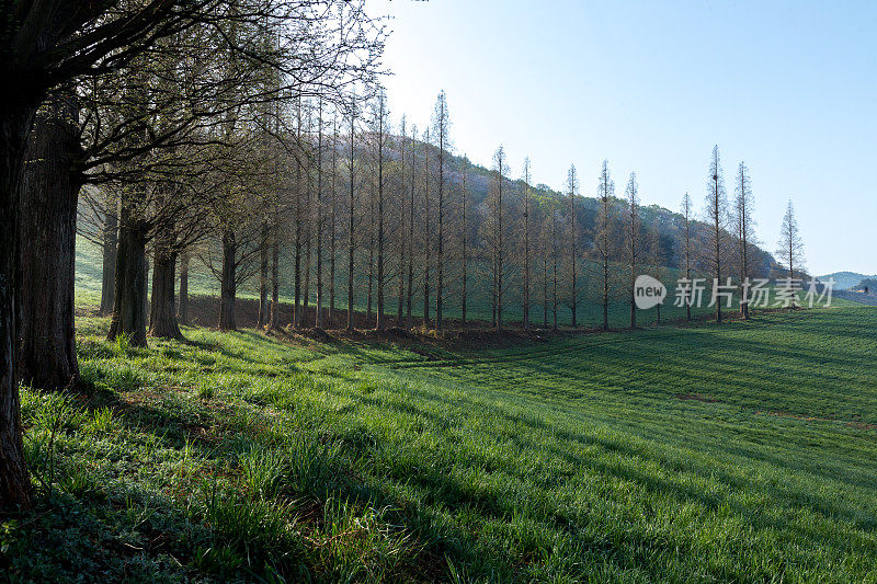 永碧水库美丽的山泉风景Vd737