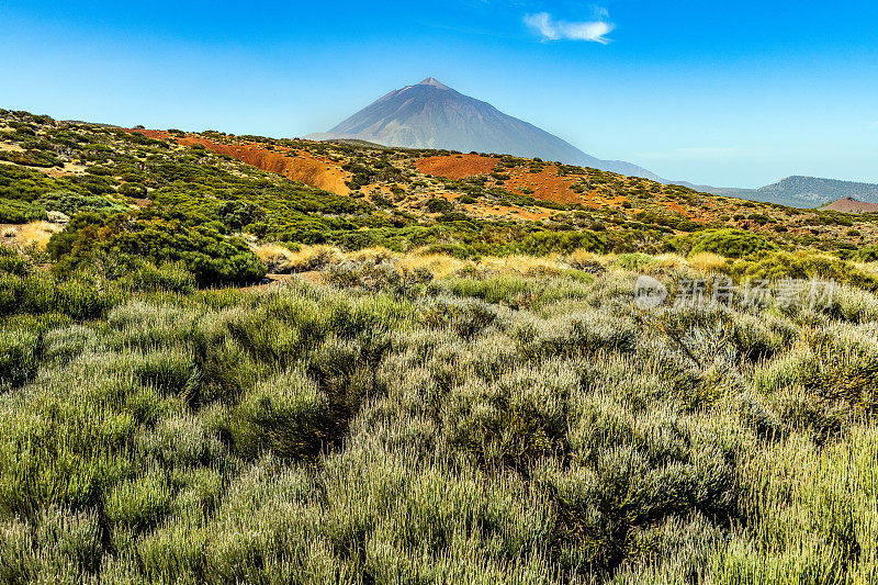 Teide山景观，Teide火山和Teide国家公园的熔岩风景-特内里费，西班牙