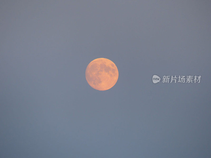 晴朗天空下的橙色月亮