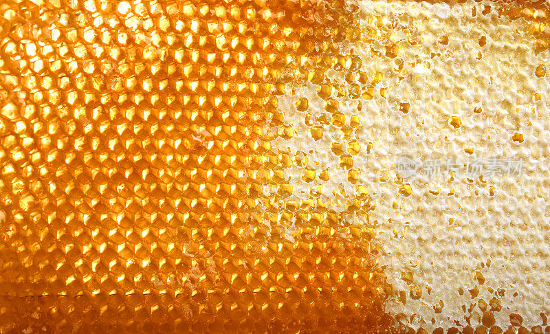 蜂巢蜂蜜。