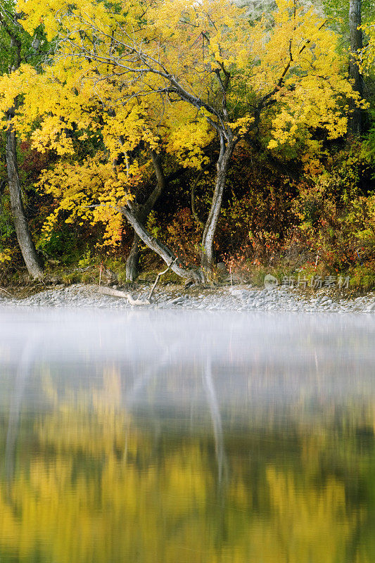 Autumn-Boise河