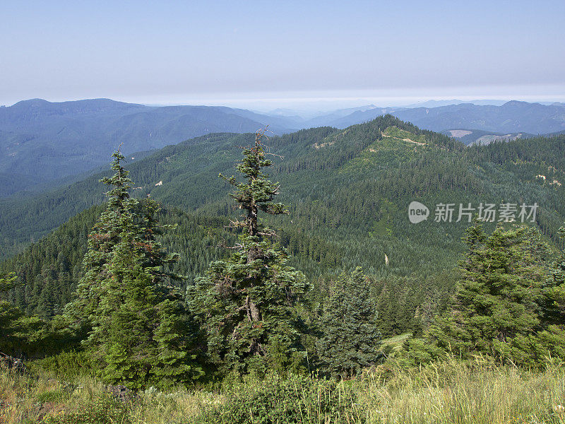 西俄勒冈山峰森林烟雾天空草森林