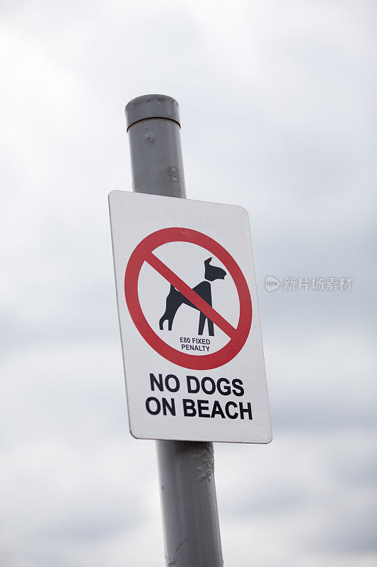 海滩禁止狗进入标志