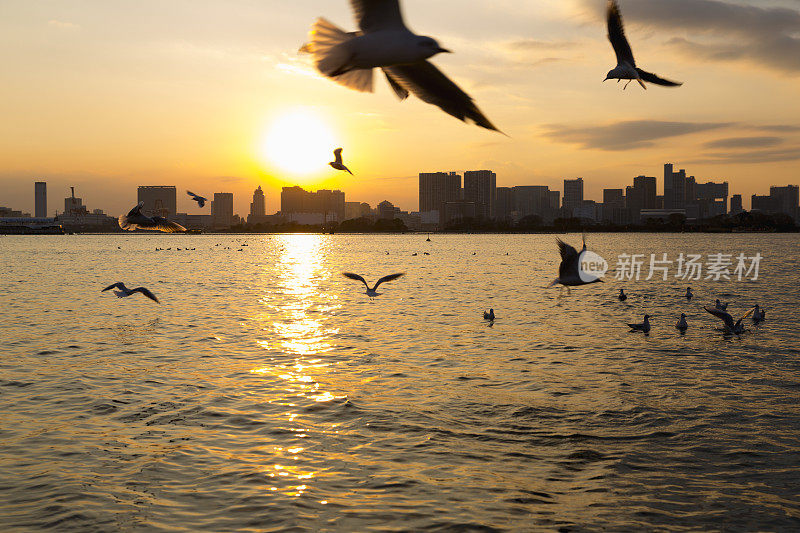 黄昏的东京湾