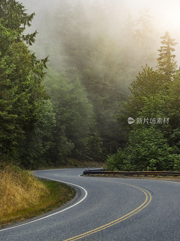 通往雷尼尔山的蜿蜒道路