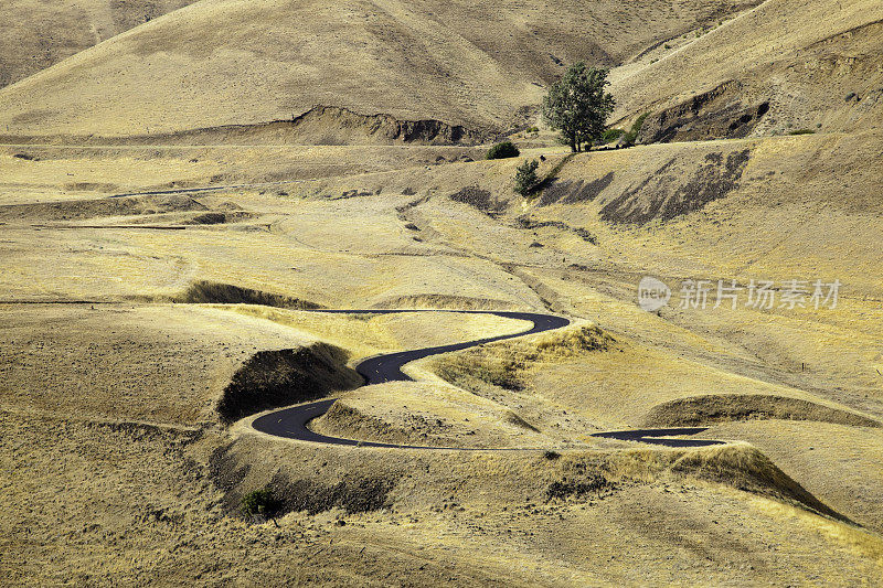 绕组的荒漠公路上