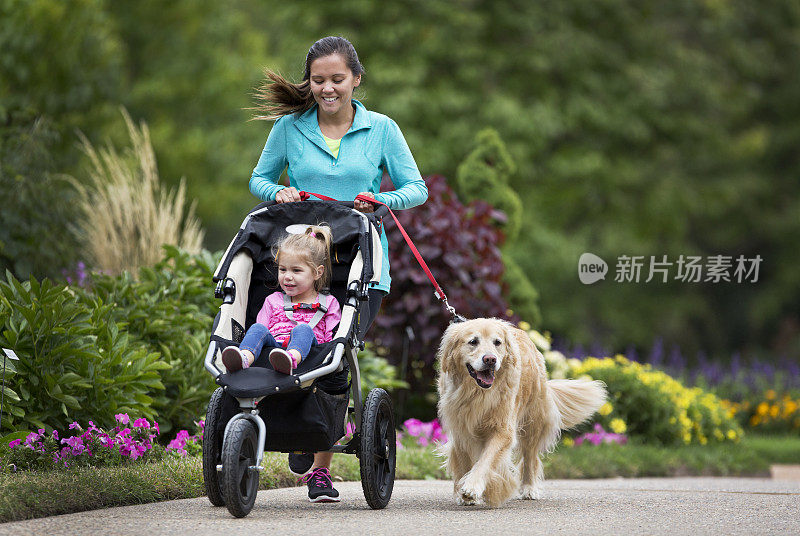 牵着狗，推着婴儿车慢跑的女人