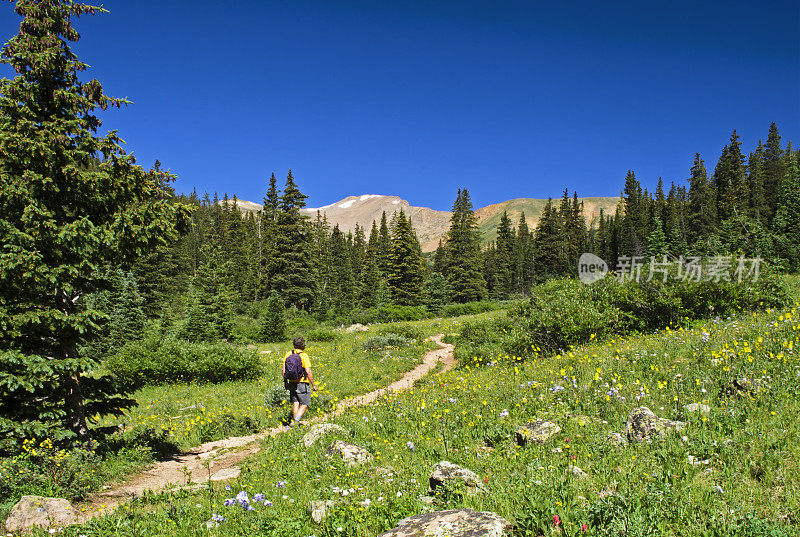 孤身一人在山间草地上徒步旅行