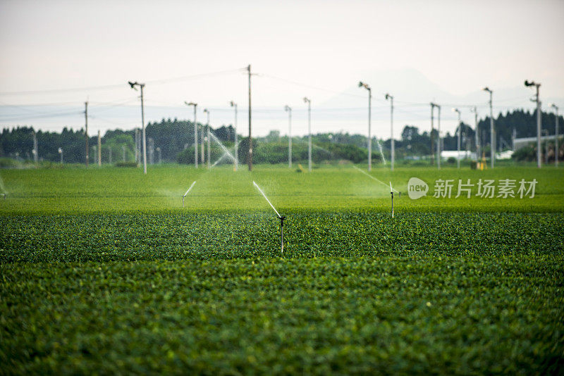 水洒水装置