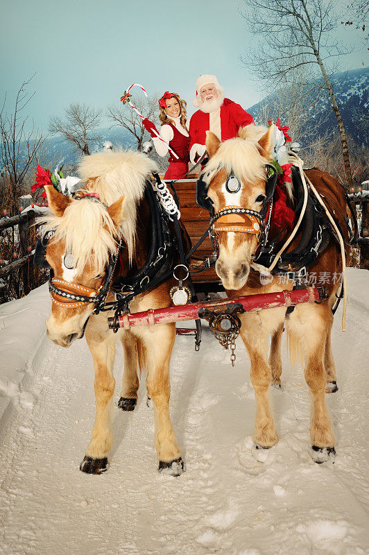圣诞老人和他的助手驾驶一组马