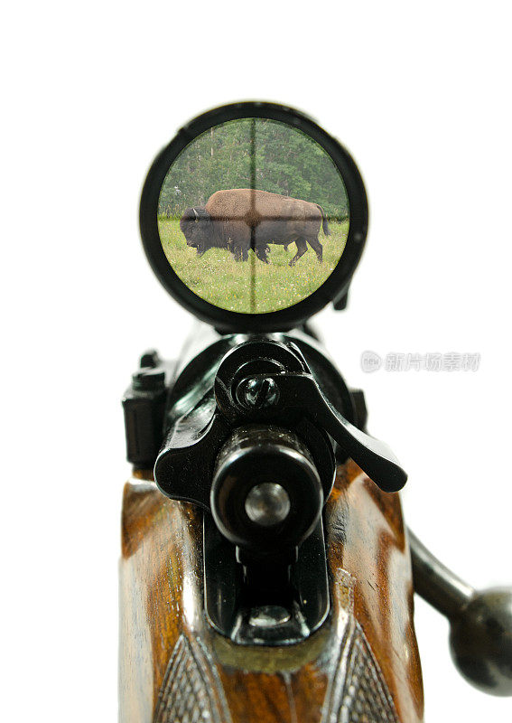 步枪和野牛瞄准镜