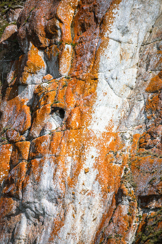 岩石的垂直壁