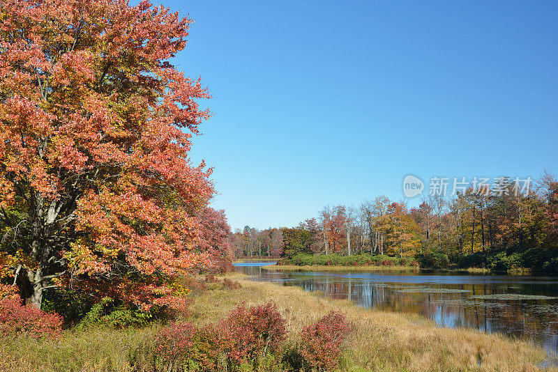 宾夕法尼亚州许诺土地州立公园的秋天