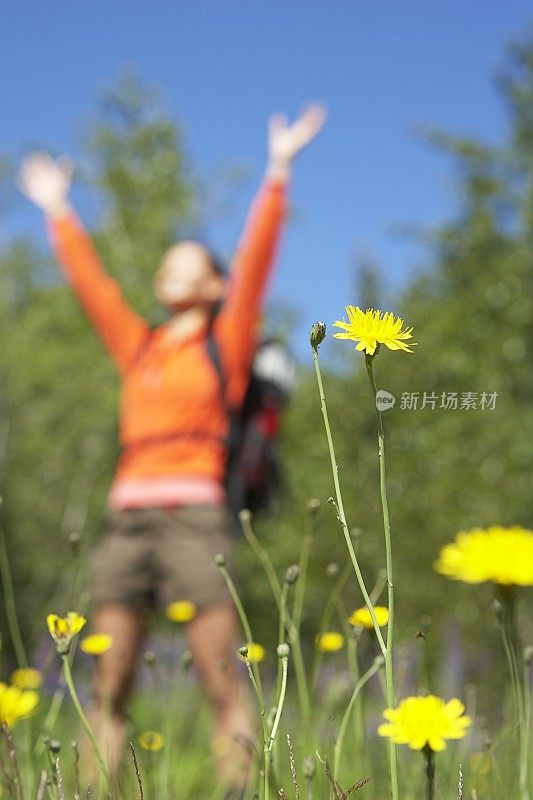 女人在田野里张开双臂