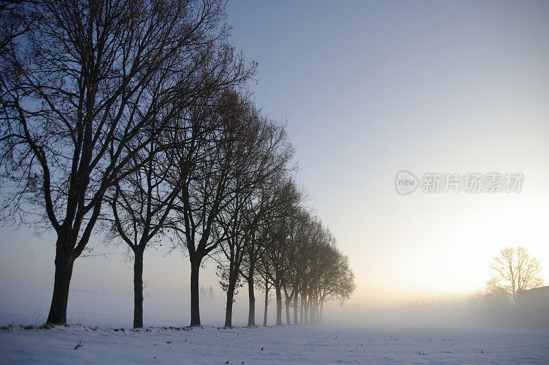 冬天的早晨