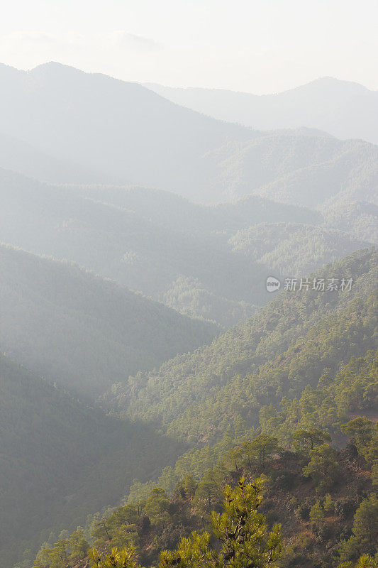 有雾的清晨troodos塞浦路斯山塞浦路斯