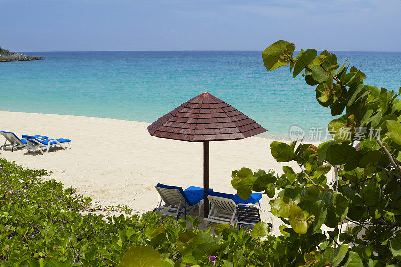 沙滩景色与躺椅和阳伞周围的植物