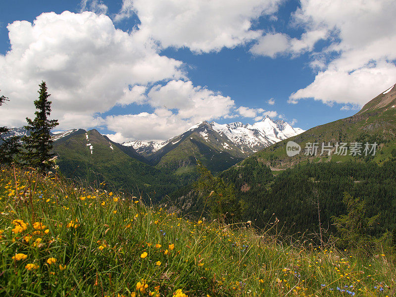 高山景观