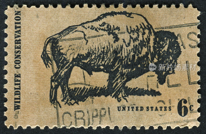 美洲野牛的邮票