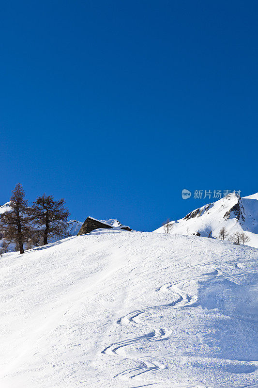 雪地上的足迹