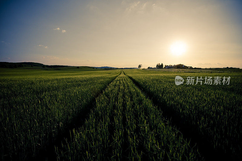 《暮光之城》的夏季领域