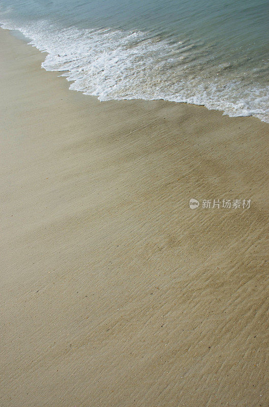 海滩的背景