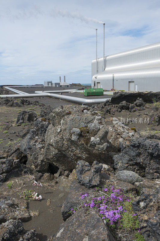 冰岛雷克雅斯维提地热发电厂的火山地面