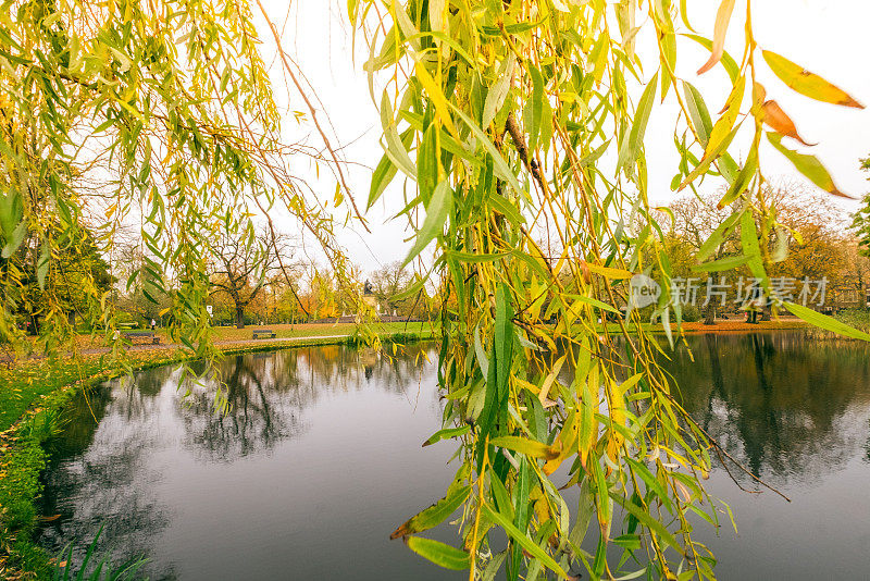 Vondelpark湖全景，阿姆斯特丹，荷兰