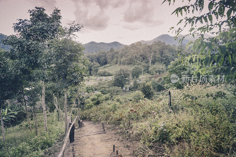 风景优美的泰派山路上山水自然